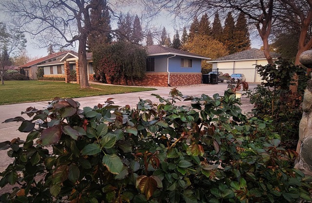 Appartement privé fraîchement rénové au coeur de Sacramento