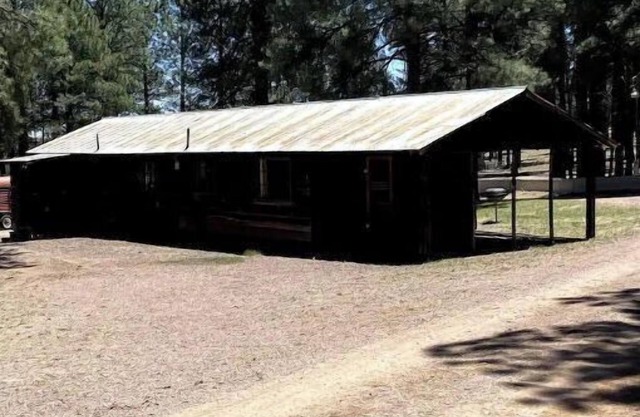 Comfy Cozy Cabin in the tall pines of Alpine AZ #1