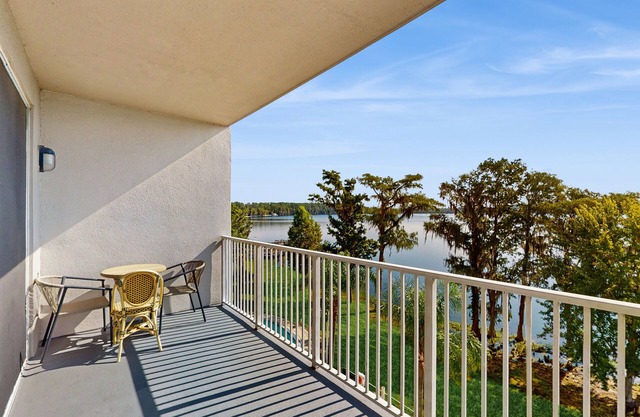 Condo near Disney attractions, water view, gym, W/D, AC and wifi