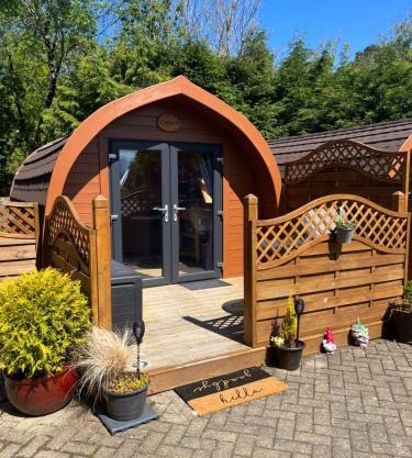 Conifer Cabins