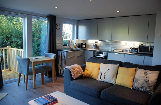 Contemporary cottage with a view - The Hutch Devon
