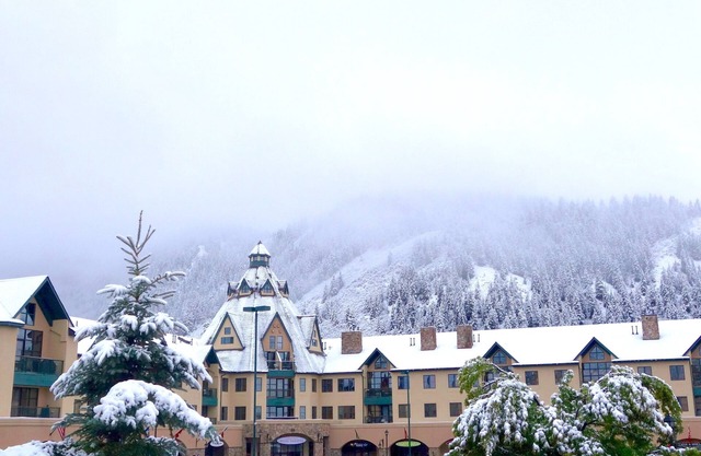 Condo pratique du centre-ville d'Avon avec navette pour Beaver Creek