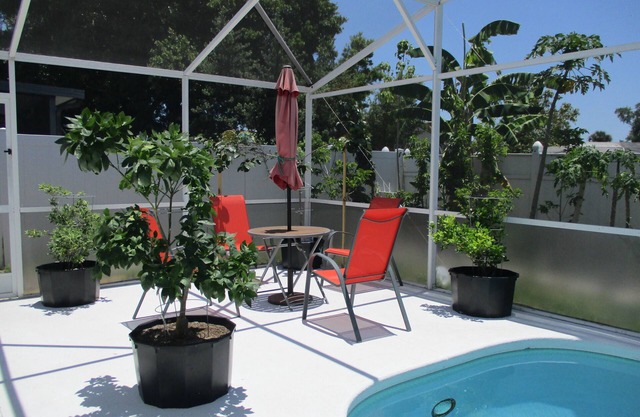 Maison de vacances familiale pratique avec piscine privée: 15 min. de Disney World