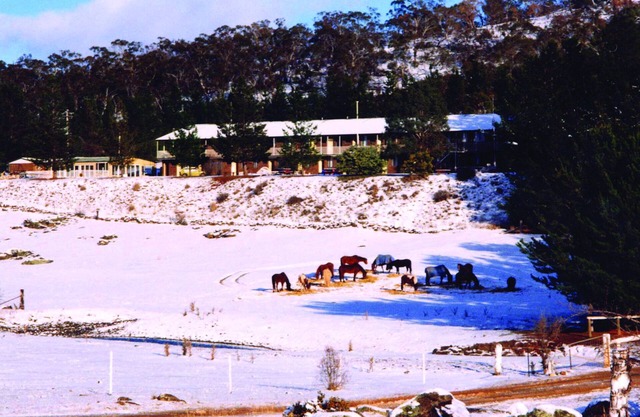 Cooba Holiday Motel