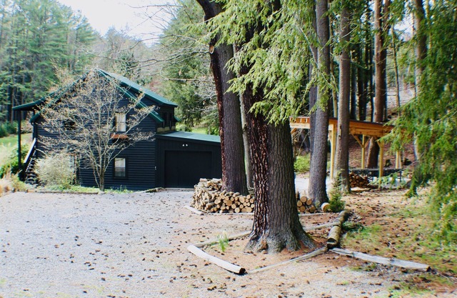 Cook Forest-Pet Friendly-Free Firewood-A/C