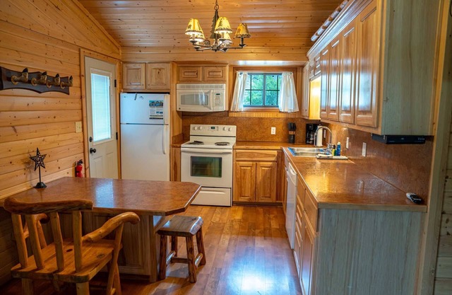 Cool Waters Cabin - Ox Yoke # 7 - Cabine mise à jour le long du lac Fork du Gunnison