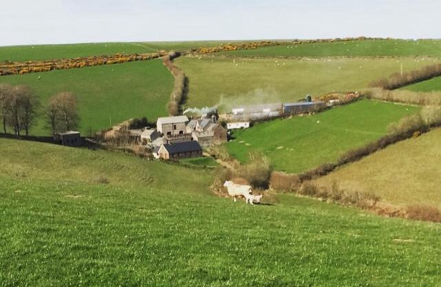 Coombe Farm
