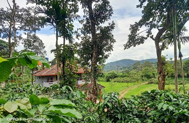 coorg homes estate stay