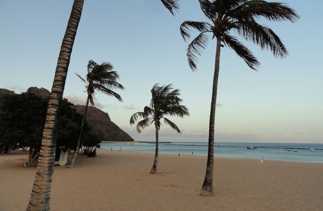 Coral Mar, bel appartement, RDC avec jolie terrasse, calme, piscine, mer à 200m
