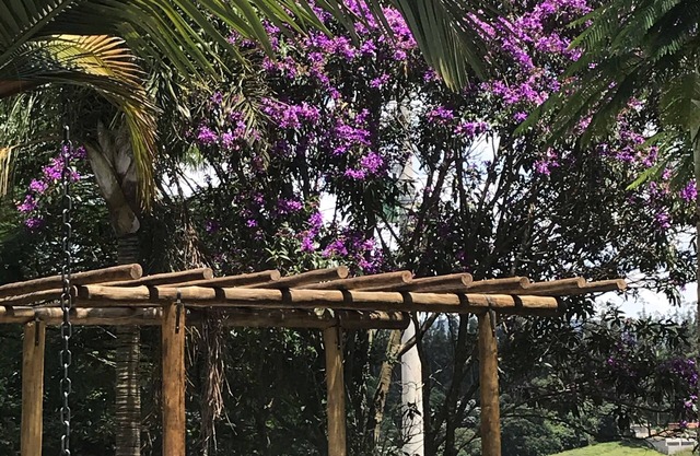 corner of paradise