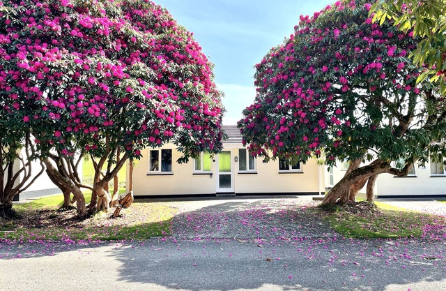 Cornish countryside lodge in quiet cul de sac