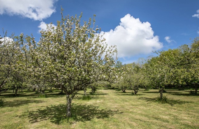 Cornish Manor house 22 acres, 10 mins from surfing beaches