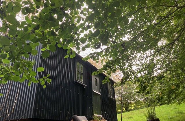 Cornwall Woodland Dog Friendly Shepherd's Hut