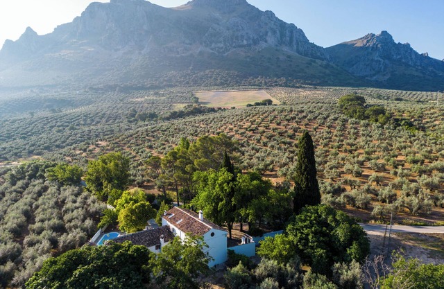Cortijo Abril, paradis de la subbética andalouse. Détendez-vous au milieu de la nature