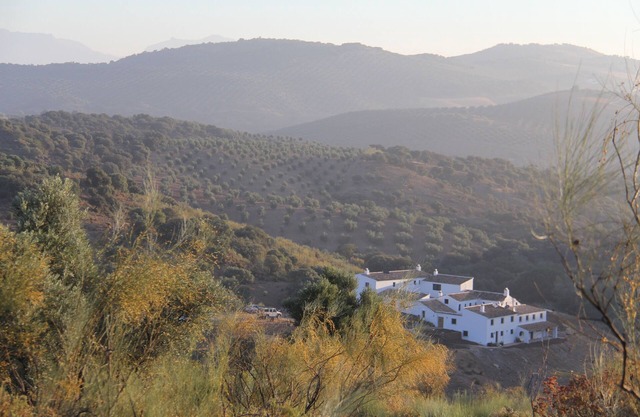 Cortijo c & c - intimité luxueuse.