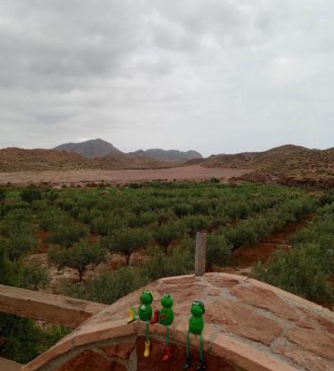 CORTIJO Rural MOLINO EL TARAHAL con piscina y zonas compartidas