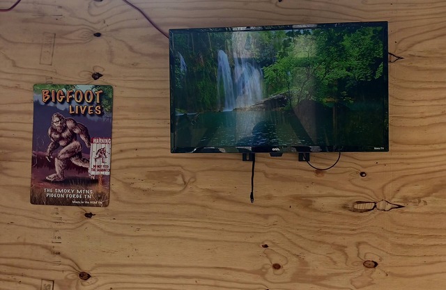 Cosby creek Casa! Smokey mountain adventure.