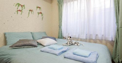 Cosmo Mercy N-1/Vacation STAY 12990