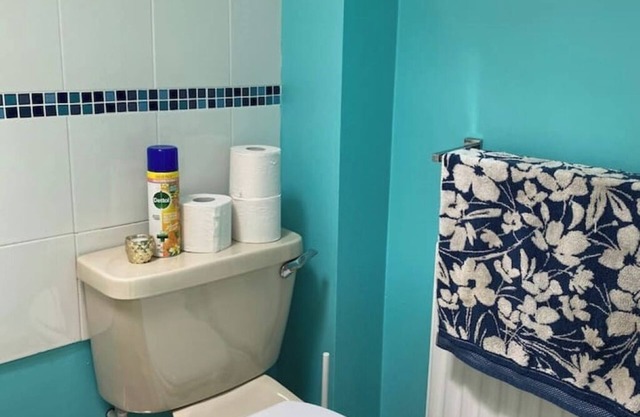 Cosy 1 Bedroom Apartment Private Access in Guildford