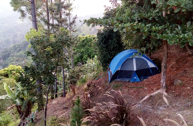 Cosy and secluded 6-Person Tent - Camping Blue Mountain Wilderness Retreat