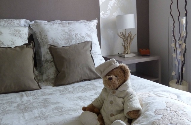 Appartement Cosy et trés calme entre Paris et parc Disney 300 m du RER A