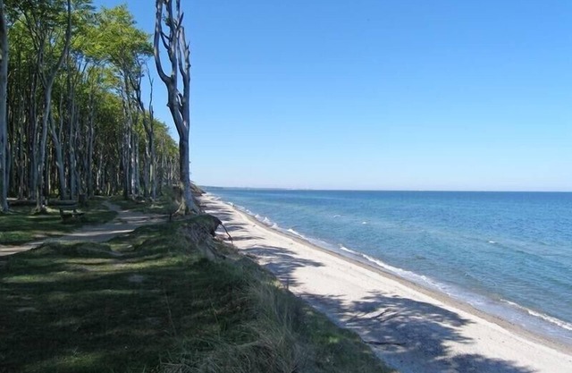 Joli appartement avec balcon, à 400 mètres de la plage, chien sur demande
