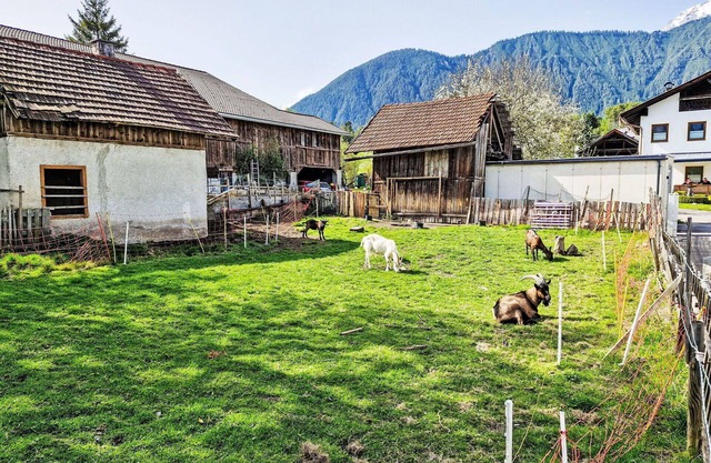 Confortable appartement pour 4 personnes avec WIFI, TV, patio et parking