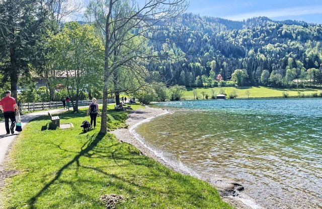 Appartement dans une maison de vacances avec climatisation, TV, terrasse, animaux admis, parking