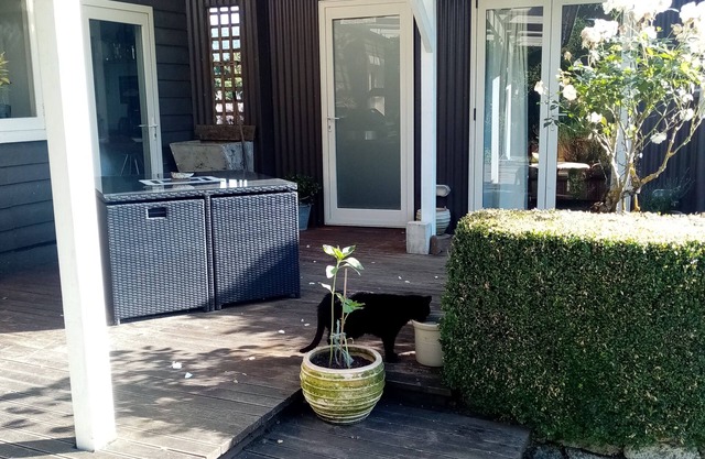 Cosy, Comfortable, Rustic Cabin In The Absolute Heart Of The Catlins