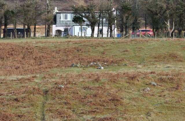 Cottage Crofter Cosy In Mid Skye