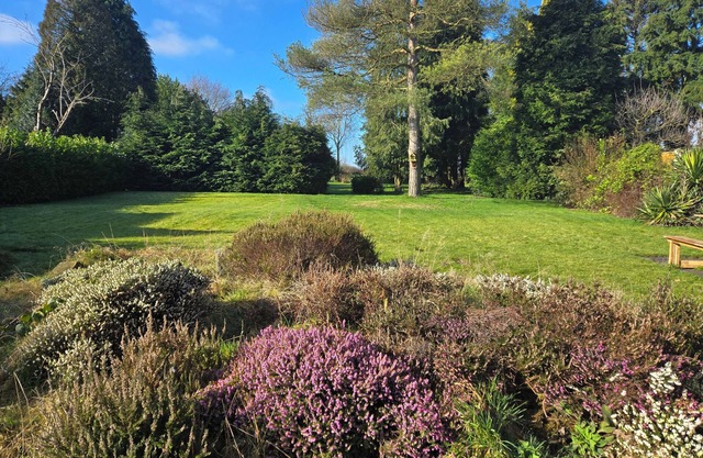 Cosy 3 Bed Bungalow in Village Location Beautiful large Garden overlooking field