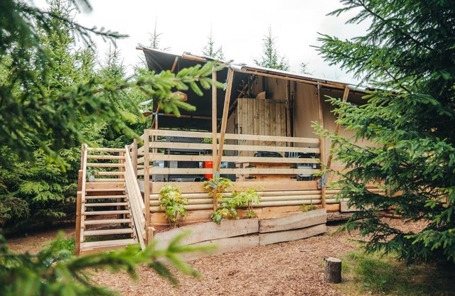 Cosy Forest Lodge