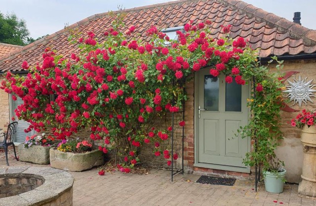 Cosy Studio Cottage