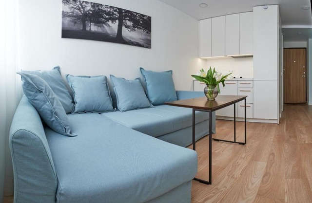 Cosy studio near Akropolis and Švyturio arena