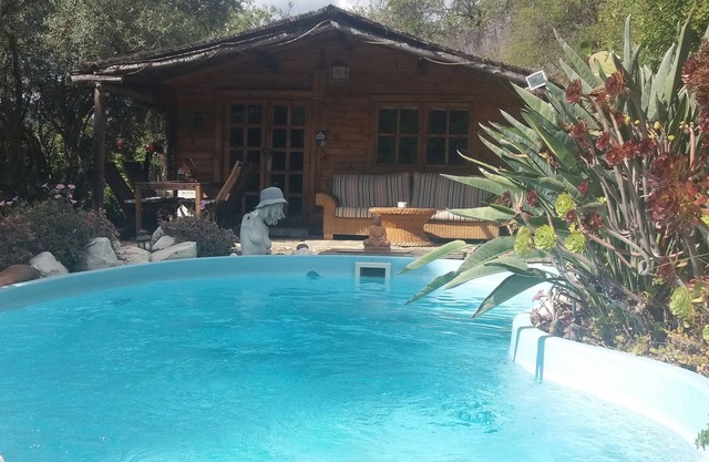 Belle cabane en bois avec piscine idéale pour une retraite romantique