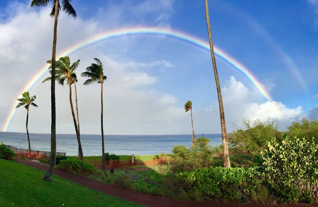 Cottage 1B - Le meilleur Lanai Oceanfront sur Molokai! Regardez la visite vidéo!