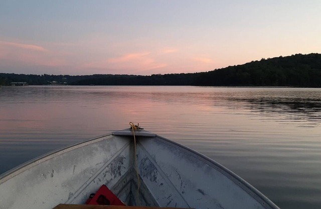 Vue fascinante sur le grand studio de Bull Shoals Lake avec cuisine entièrement équipée