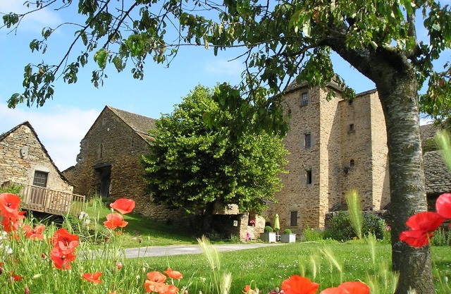 Gîte Château du Cayla
