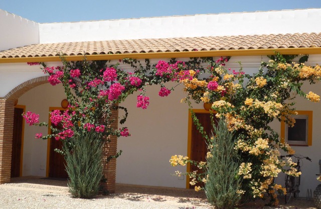 gite finca las gateras