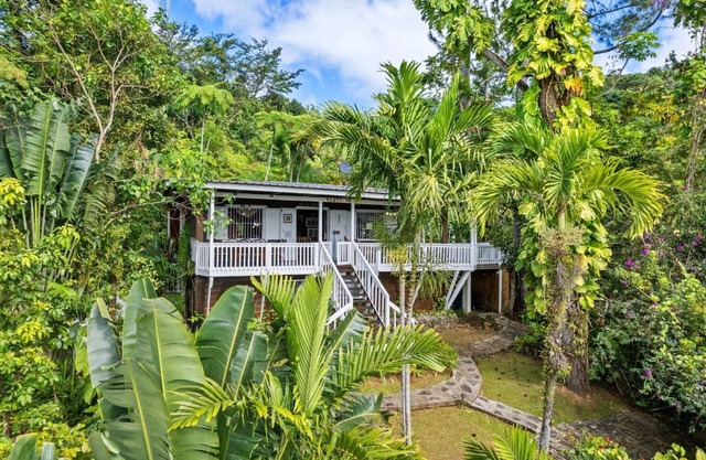 Cottage in a 5 acre property w. a creek in the Rain Forest all for yourself!