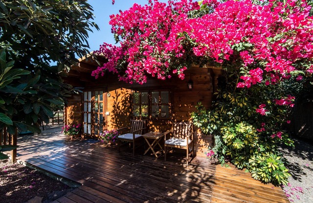 2 chalets neufs dans une plantation d'avocat près de la plage de Bollullo et de Puerto Cruz