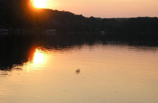Chalet sur Crystal Lake