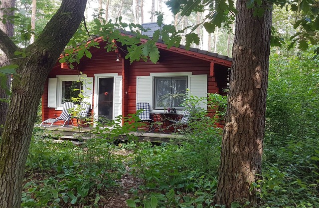 Cottage dans les bois près de Hitzacker / Elbe - à pied et à vélo de votre porte