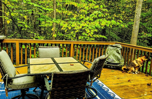Cottage on Lake Hartwell! Cozy fireplace, wooded trail to dock, & dog friendly!