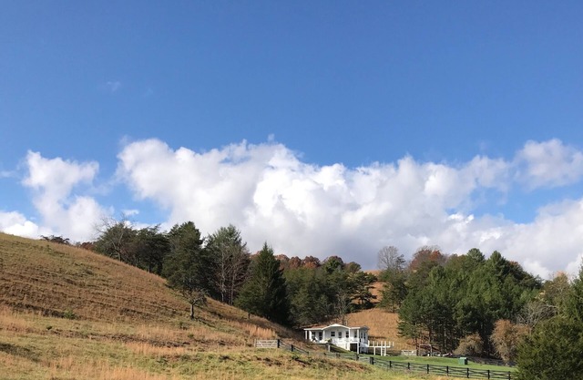 Cottage, piscine, 300 acres spectaculaires de Blue Ridge Mountains