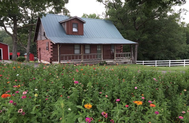 Propriétés de la petite maison - Country Log Cabin