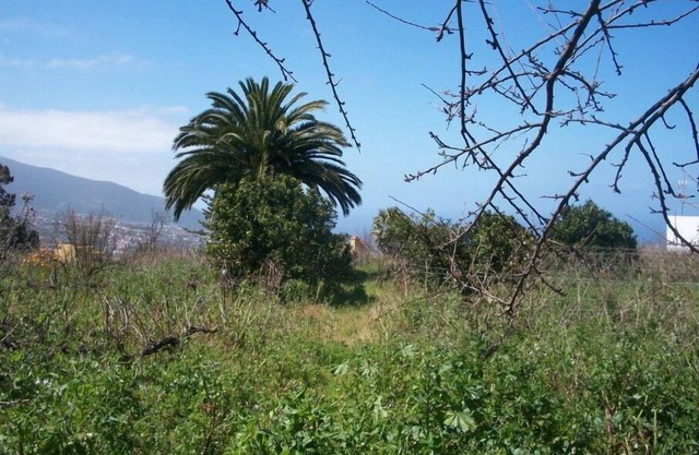 La Casita à La Orotava