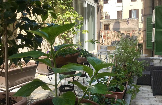 Comte Checco. Un refuge sur les toits de Rome, à quelques pas du Panthéon