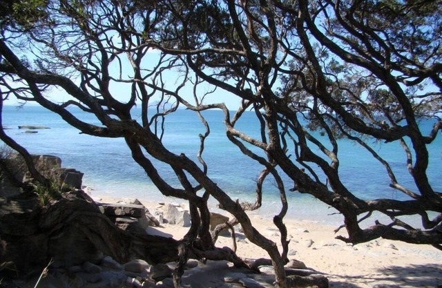 Maison de campagne à Black Sheep Farm, B&B
