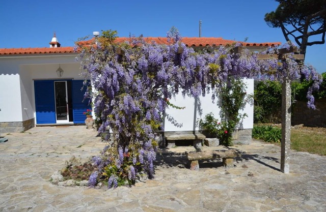Maison de campagne dans un jardin magique près de la plage